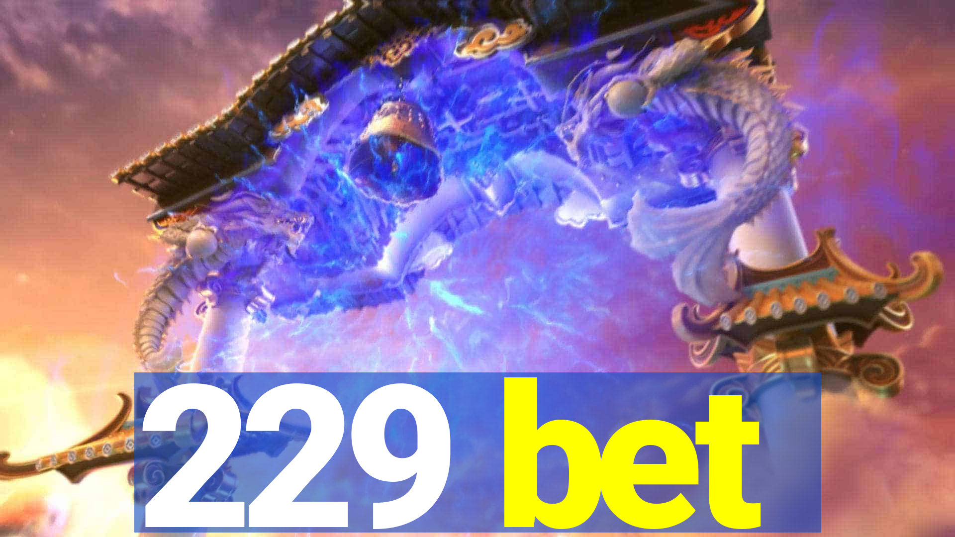 229 bet